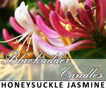 Honeysuckle & Jasmine