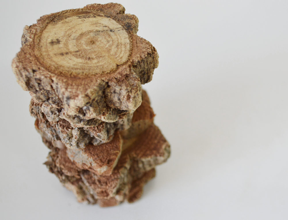 Cork Tree Wood Slices 